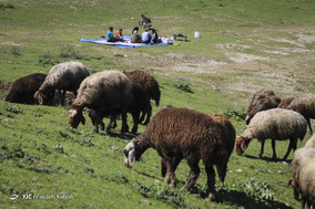 روز طبیعت در روستاهای کفشگیری گرگان