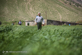 امدادرسانی هلال احمر به سیل‌زدگان پلدختر