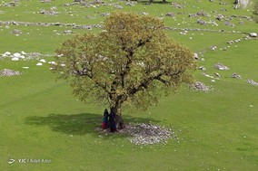 امداد رسانی به روستاهای سیل زده و صعب العبور الیگودرز