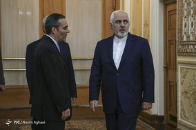 دیدار محمدعلی الحکیم وزیر خارجه عراق با محمدجواد ظریف وزیر امور خارجه جمهوری اسلامی ایران
