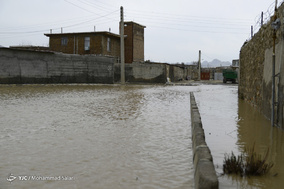 دشت چمچمال کرمانشاه