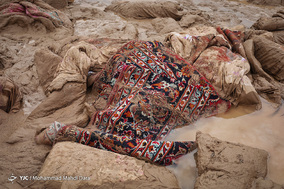 رنگ سیل