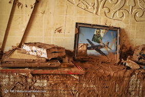 رنگ سیل
