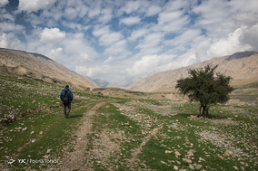 بعد از اتمام کلاس علیرضا مسافتی را باید پیاده روی کند تا به روستای هالکون که هر صبح موتورش را در آنجا میگذارد برسد.
متاسفانه بدلیل فراهم نبودن بیتوته برایش ، او نمیتواند شب را در آنجا اسکان یابد‌.
29 بهمن 1397