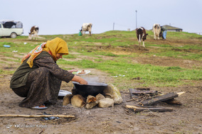 قوش تپه؛ پناهگاه طیور سیل زده