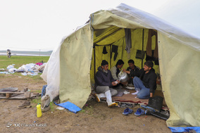 قوش تپه؛ پناهگاه طیور سیل زده