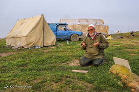 قوش تپه؛ پناهگاه طیور سیل زده