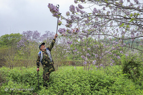 پایی که جا ماند ـ روایتی از جانباز ۶۰ درصد گلستانی، حاج رضا نودهی