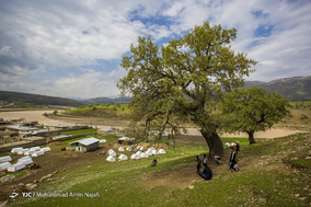 روستای سیل زده چمخوشه
