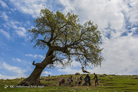 روستای سیل زده چمخوشه