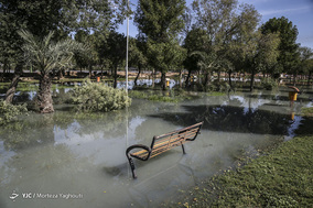 سیلاب در حاشیه رودخانه کارون و جاده ساحلی اهواز