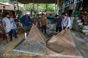 فعالیت گروه‌های جهادی از طلاب و بسیجیان در شست و شوی وسایل و قالی مناطق سیل زده لرستان