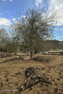 دُمرود؛ روستای به گِل نشسته