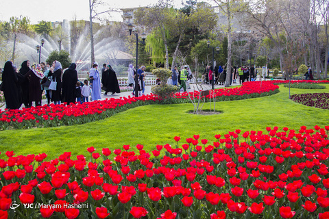 جشنواره گل‌های لاله کرج
