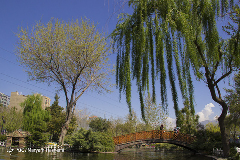 جشنواره گل‌های لاله کرج