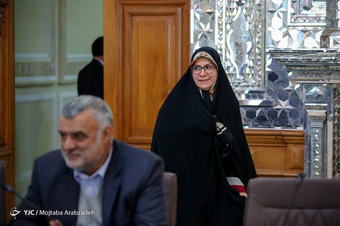جلسه کمیسیون صنایع مجلس