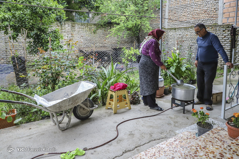 جشن نیمه شعبان در کوچه شقایق