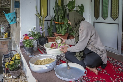 جشن نیمه شعبان در کوچه شقایق