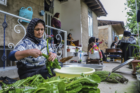 جشن نیمه شعبان در کوچه شقایق