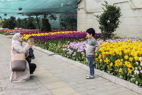 لاله‌ای برای مادران