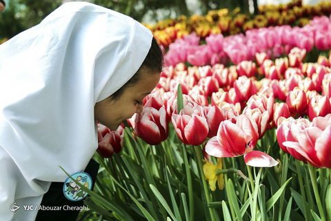 لاله‌ای برای مادران