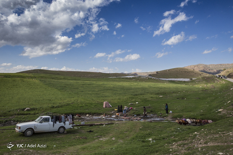 در پناه طبیعت
