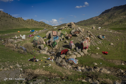 در پناه طبیعت