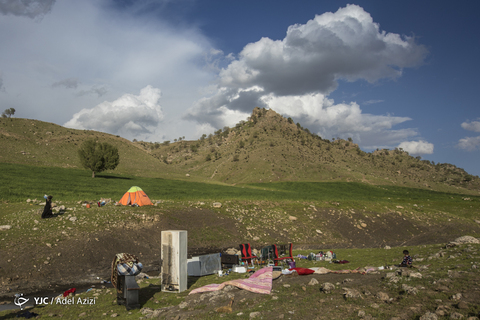 در پناه طبیعت
