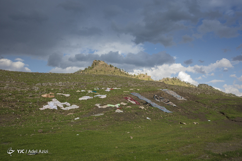 در پناه طبیعت