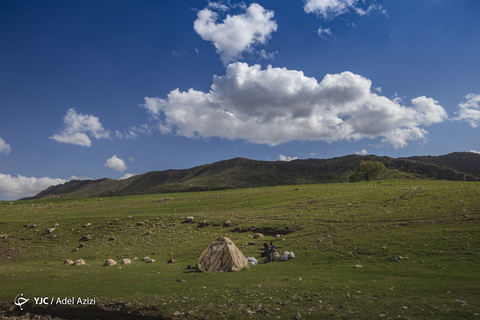 در پناه طبیعت