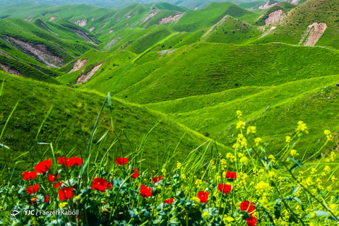 ایرانِ ما؛ زیارتگاه خالد نبی