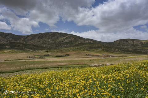 بهار یاسوج