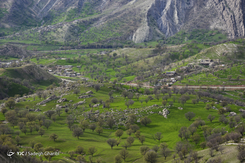 بهار یاسوج