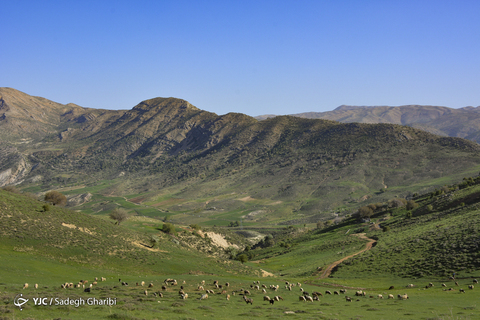 بهار یاسوج