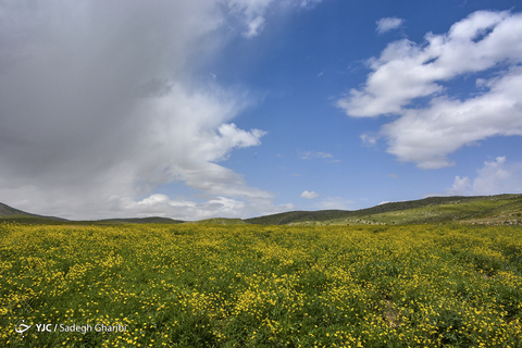 بهار یاسوج