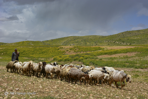 بهار یاسوج