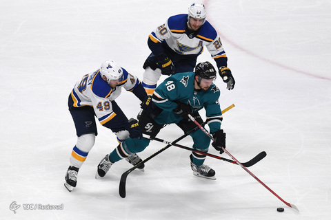 لیگ هاکی روی یخ NHL