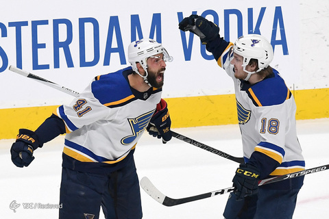 لیگ هاکی روی یخ NHL