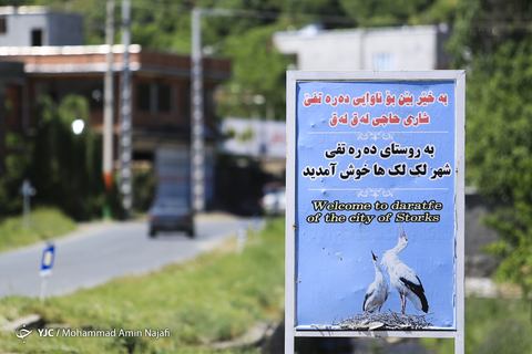 شهر لک‌لک‌ها