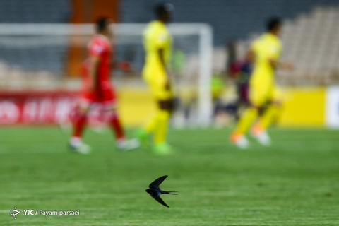 لیگ قهرمانان آسیا/ پرسپولیس - السد