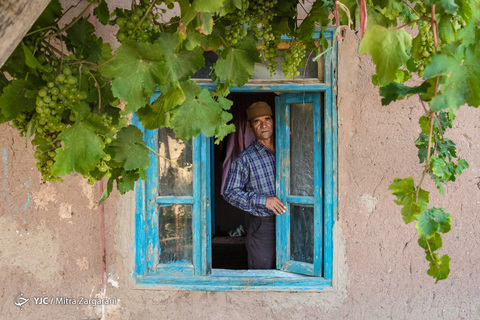 ایرانِ ما؛ شهر خَرو ... شهر بام‌های طلایی، پایتخت آلوی ایران و ماسوله خراسان