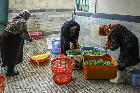 افطاری به مناسبت ولادت امام حسن (ع)