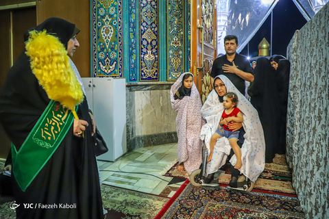 احیای خانواده ایری