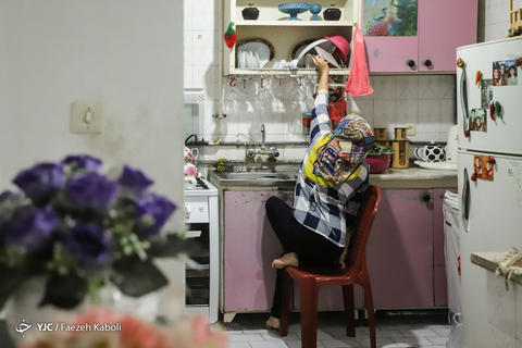 احیای خانواده ایری