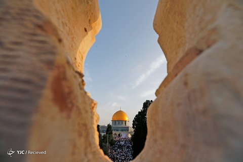 عید سعید فطر در فلسطین