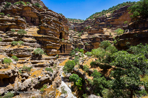 تنگه شیرز