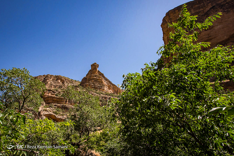 تنگه شیرز