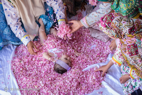 جشنواره ملی گل‌غلتان در خانه طباطبایی کاشان
