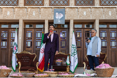 جشنواره ملی گل غلتان در کاشان
