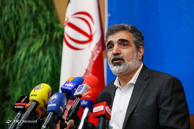 نشست خبری سخنگوی سازمان انرژی اتمی ایران